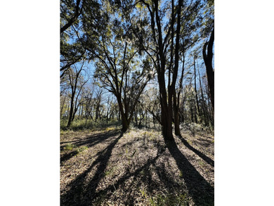 Discover the beauty and serenity of Edisto Island with this - photo 2