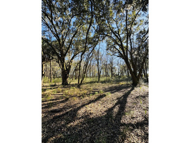 Discover the beauty and serenity of Edisto Island with this - photo 3