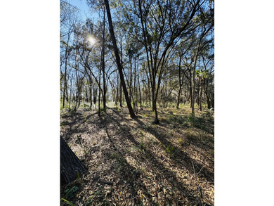 Discover the beauty and serenity of Edisto Island with this - photo 4