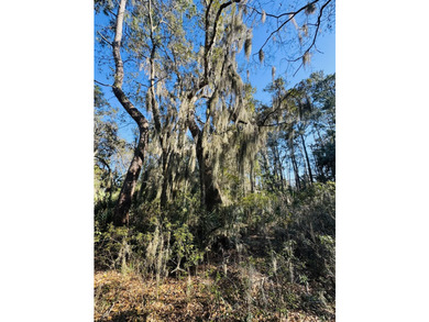 Discover the beauty and serenity of Edisto Island with this - photo 6