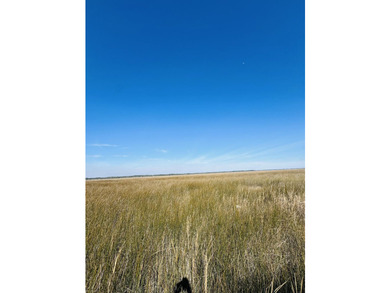 Discover the beauty and serenity of Edisto Island with this - photo 7