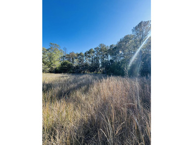 Discover the beauty and serenity of Edisto Island with this - photo 10