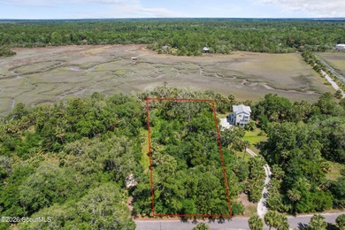 Discover the beauty of Georgia's coast with this 1.46-acre - photo 12