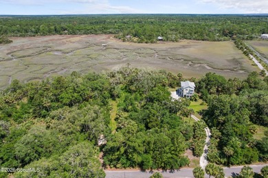 Discover the beauty of Georgia's coast with this 1.46-acre - photo 13