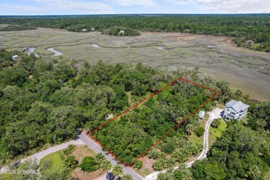 Discover the beauty of Georgia's coast with this 1.46-acre - photo 14