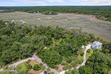 Discover the beauty of Georgia's coast with this 1.46-acre - photo 15