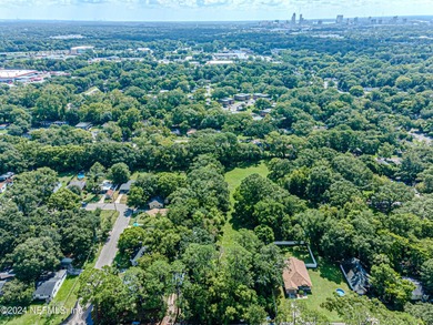 This 3.5+ acre partially cleared parcel on Detroit Street offers - photo 15