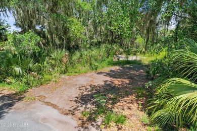 Discover the beauty of Georgia's coast with this 1.46-acre - photo 17