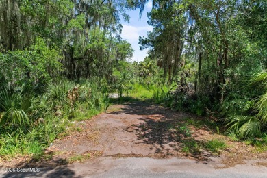 Discover the beauty of Georgia's coast with this 1.46-acre - photo 18