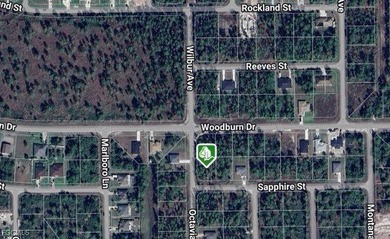 Lehigh Acres Area Lot For Sale in Lehigh Acres Florida