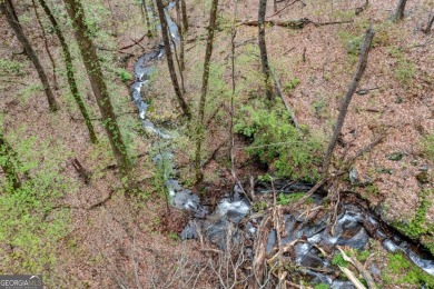Lake Lot For Sale in Jasper, Georgia