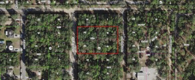 Tussock Lake  Lot For Sale in Inverness Florida