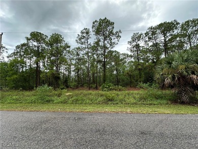 Lehigh Acres Area Lot For Sale in Lehigh Acres Florida