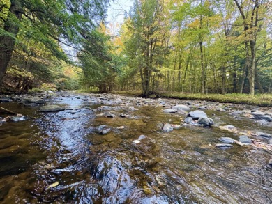 (private lake, pond, creek) Home Sale Pending in Burke New York