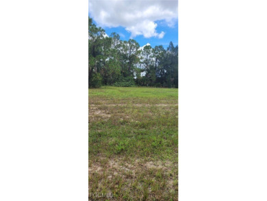 Beautiful lot in great location NE Cape Coral area. Cape Coral - photo 2