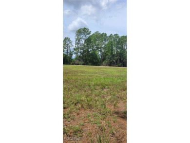 Beautiful lot in great location NE Cape Coral area. Cape Coral - photo 3