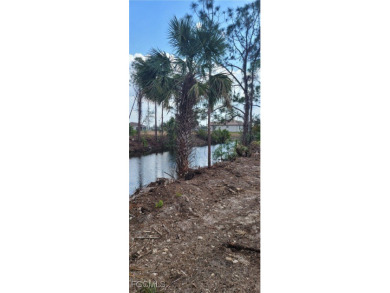 Beautiful lot in great location NE Cape Coral area. Cape Coral - photo 4