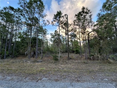 Lehigh Acres Area Lot For Sale in Lehigh Acres Florida