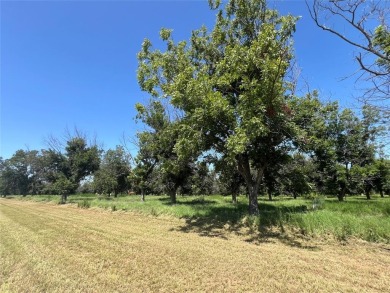 Lake Lot For Sale in Granbury, Texas