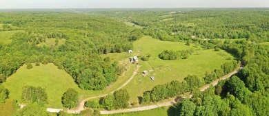 Lake Acreage For Sale in Washburn, Missouri