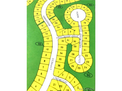 Premium corner cul de sac home site in Cypress Village at - photo 3