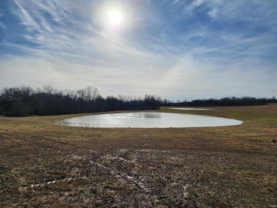 Welcome to a rare opportunity to build on 4-10 acre tracts in a - photo 4