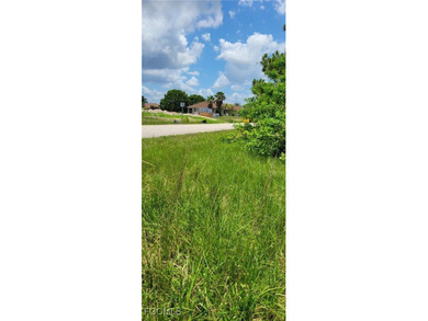 Beautiful lot in great location NW Cape Coral area. Cape Coral - photo 6