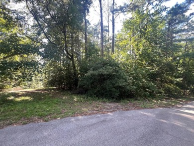 Lake Sam Rayburn  Lot For Sale in Brookeland Texas