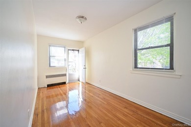 Semi-detached brick 2-family in prime Flushing, across from - photo 15