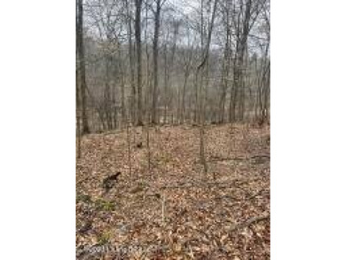 Rough River Lake Lot For Sale in Leitchfield Kentucky