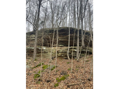 Lot #16. Nice wooded lot located in a private cove in Peter Cave - photo 2