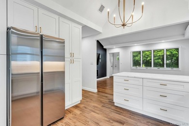 Completely Reimagined Designer Home - Gut Renovated to the Studs - photo 10