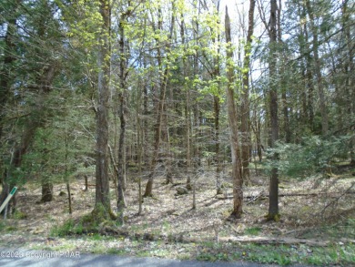 Lake Guenevere Lot For Sale in Blakeslee Pennsylvania