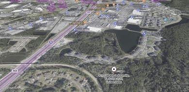 Exceptional Land investment opportunity in Florida! This prime 3 - photo 3
