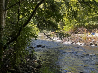 (private lake, pond, coastal) Acreage Sale Pending in Cave Junction Oregon