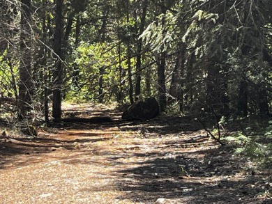 (private lake, pond, creek) Acreage For Sale in Cave Junction Oregon