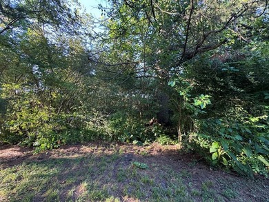 COMING SOON!! SHOWINGS START JULY 1, 2026. Country Roads, take - photo 11