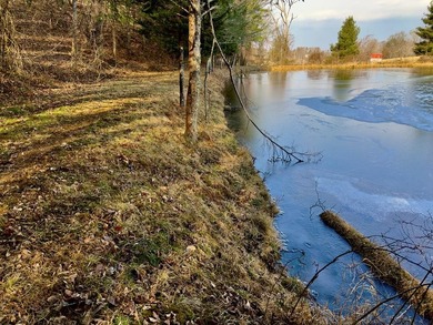 (private lake, pond, coastal) Acreage For Sale in Woodlawn Virginia