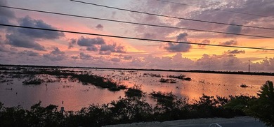 Elevated Coastal Living in Breezeswept Beach Estates. Skip the - photo 25