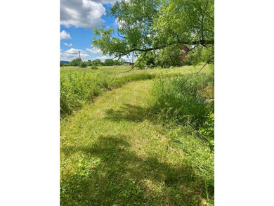 COMING SOON!! SHOWINGS START JULY 1, 2026. Country Roads, take - photo 27