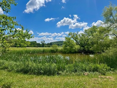 COMING SOON!! SHOWINGS START JULY 1, 2026. Country Roads, take - photo 30