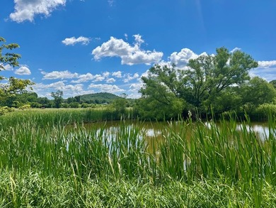 COMING SOON!! SHOWINGS START JULY 1, 2026. Country Roads, take - photo 31
