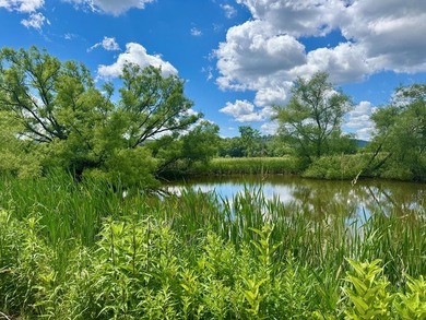 COMING SOON!! SHOWINGS START JULY 1, 2026. Country Roads, take - photo 32