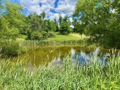 COMING SOON!! SHOWINGS START JULY 1, 2026. Country Roads, take - photo 33
