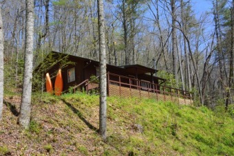 View Of The Lake! Better Be Quick! - Lake Home For Sale in Robbinsville, North Carolina