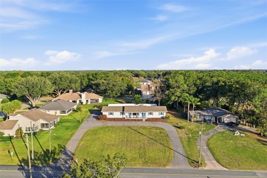 (private lake, pond, coastal) Home For Sale in Eustis Florida