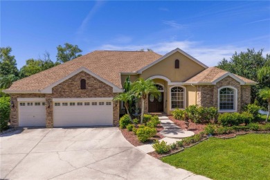 (private lake, pond, creek) Home Sale Pending in Tampa Florida