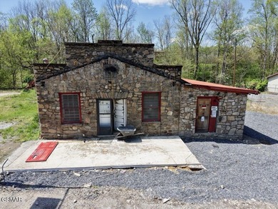 (private lake, pond, creek) Lot For Sale in Cosby Tennessee