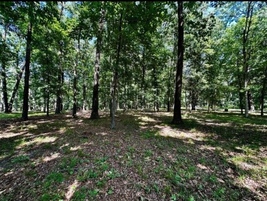 Lake Lot For Sale in Pana, Illinois