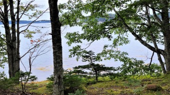 Atlantic Ocean - Penobscot Bay Acreage For Sale in Deer Isle Maine